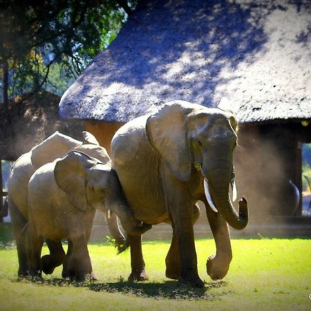 Croc Valley Camp Mfuwe Exterior foto