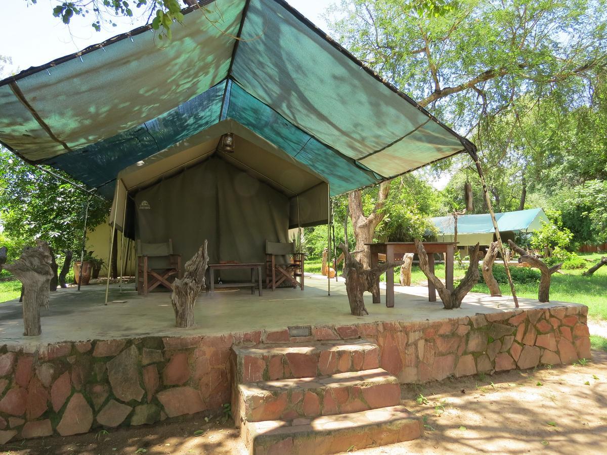 Croc Valley Camp Mfuwe Quarto foto